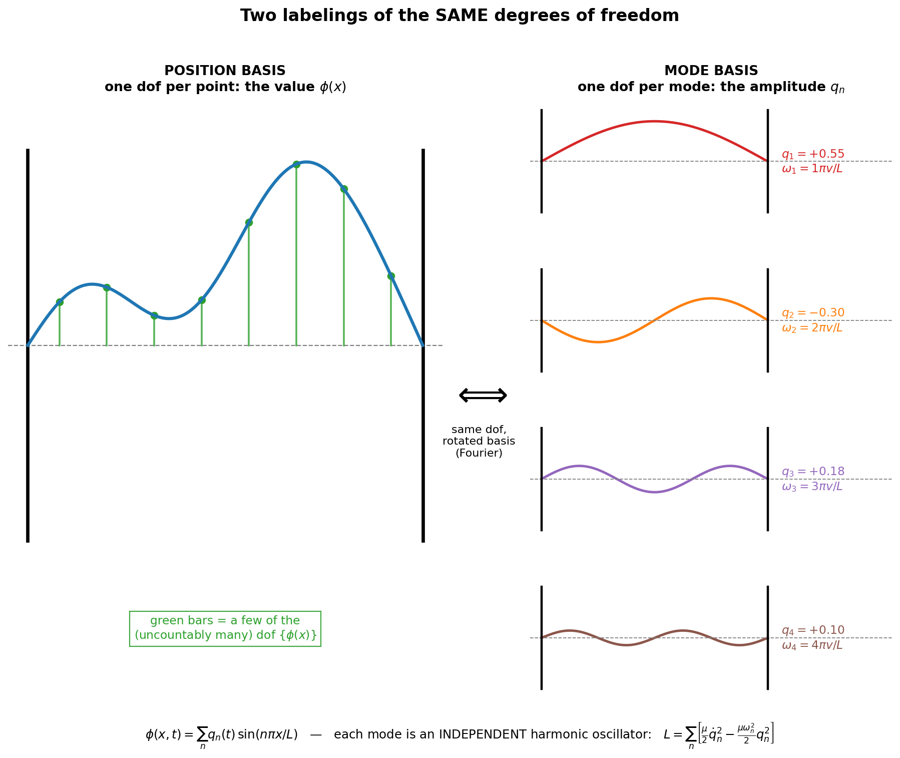 Position basis vs mode basis: two labelings of the same dof